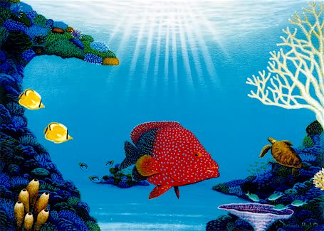 Coral Garden - L/E Print by Darrell Hook