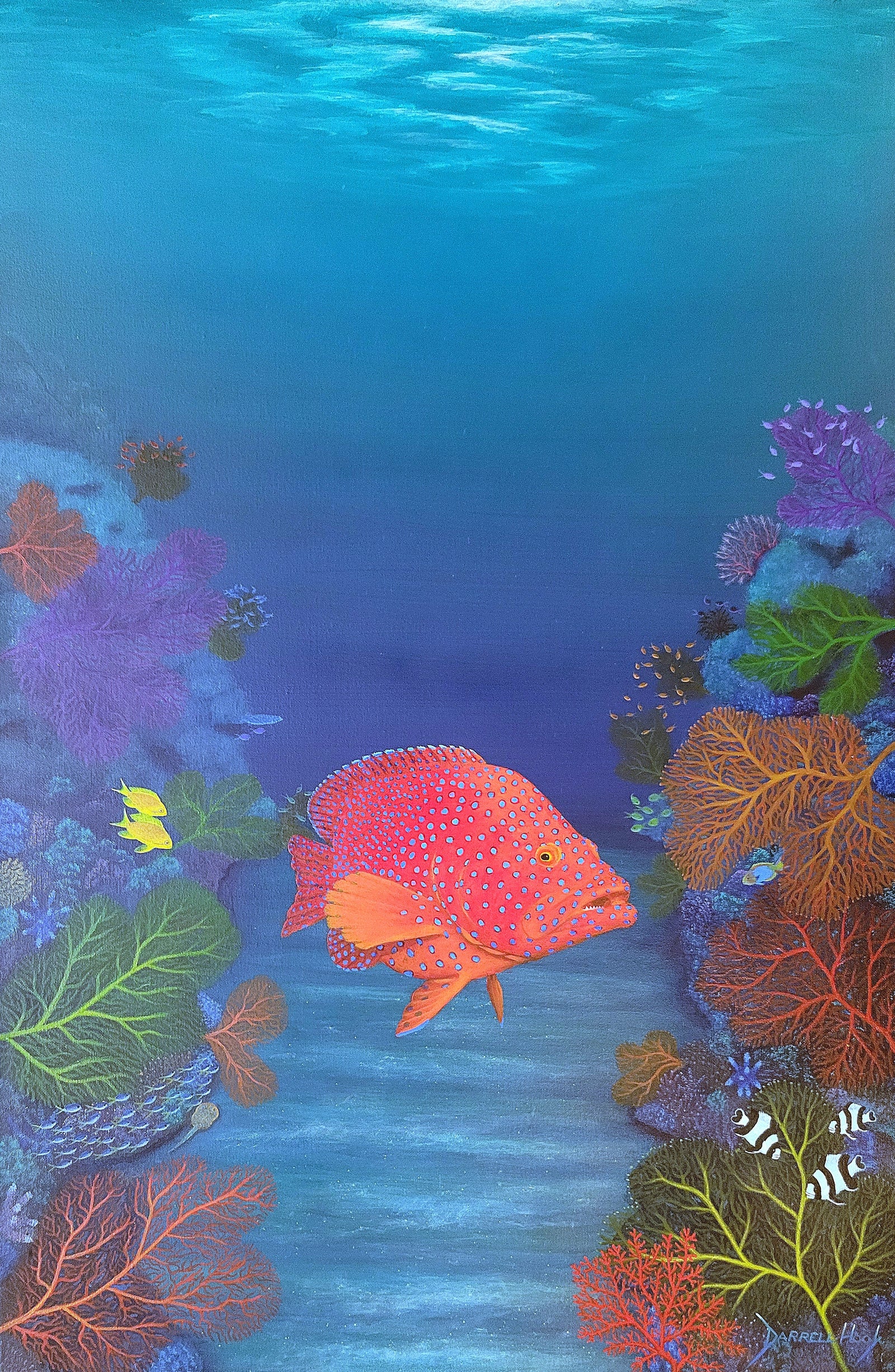 Coral Rock Cod Cavern by Darrell Hook