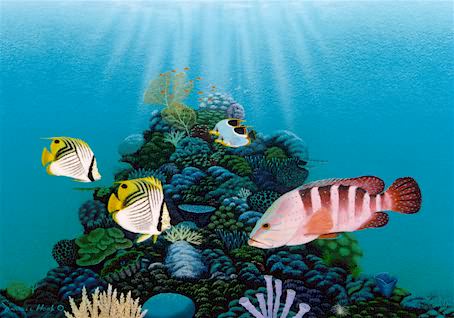 Reef Images | Great Barrier Reef original paintings and prints