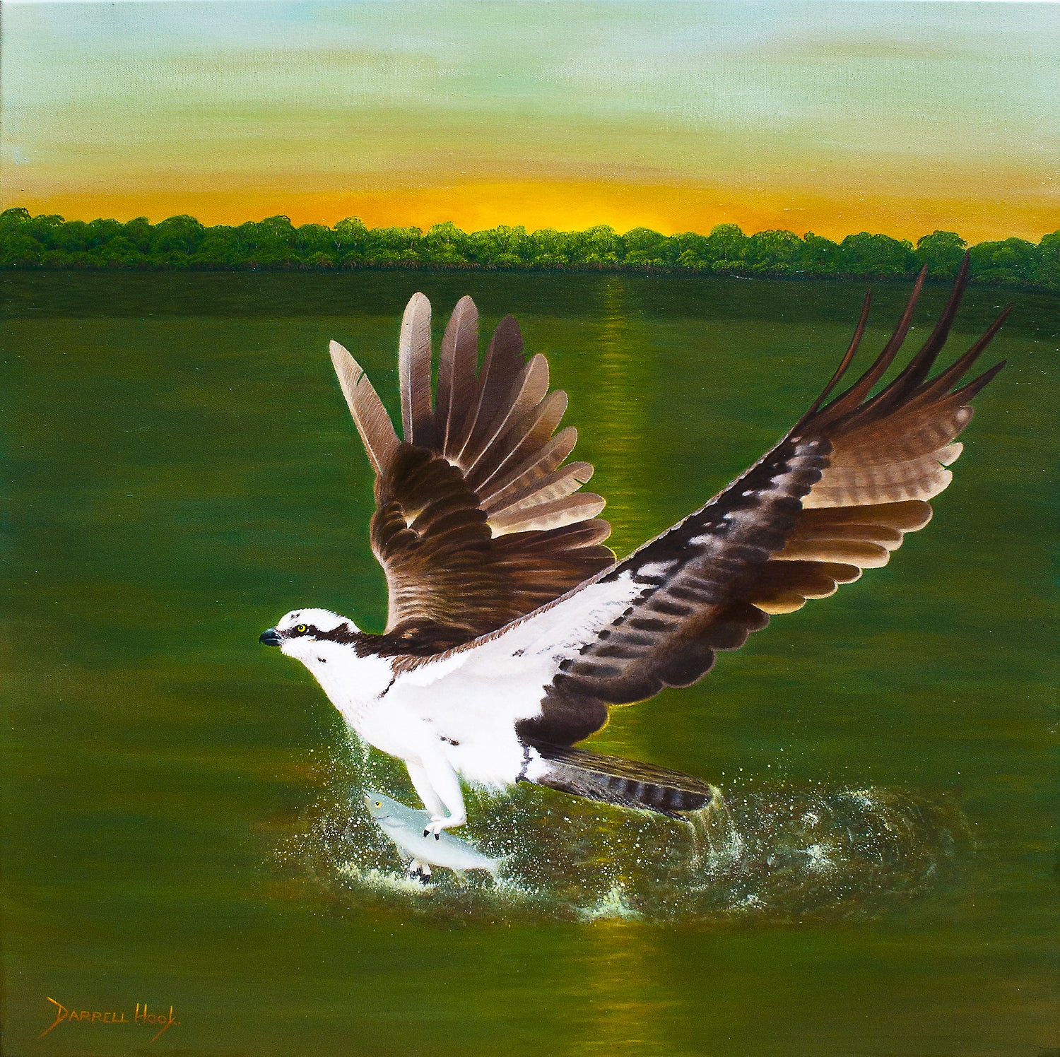 Osprey Sunrise – Original Acrylic Canvas by Darrell Hook