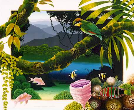 Cassowary  Print of Tropical North Queensland Rainforest & Fauna