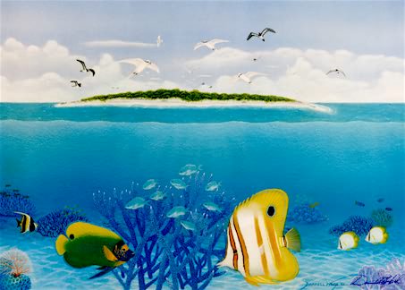 Sand Cay Serenity - L/E Print by Darrell Hook