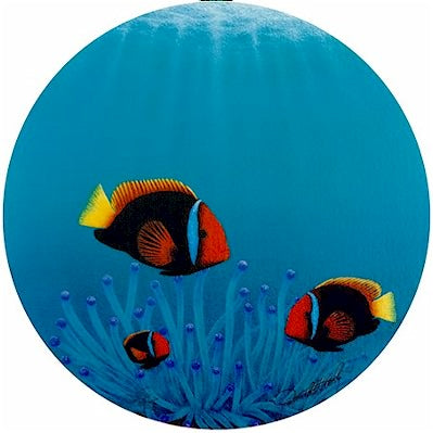 Clowns of the Reef - Port Hole Print by Darrell Hook